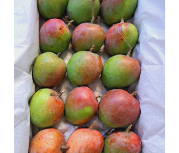 box-mangoes