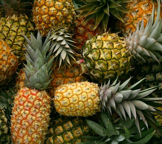 Meghalaya KEW pineapples